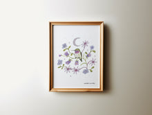 Load image into Gallery viewer, Amethyst Woodstar Hummingbird Art Print
