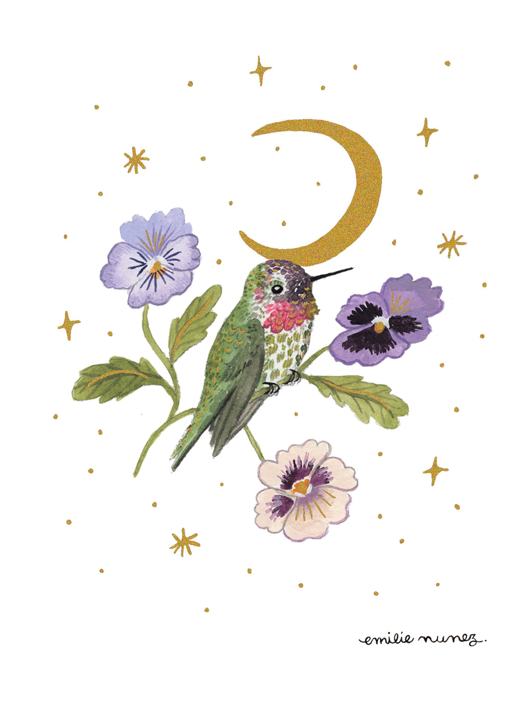 Annas Hummingbird Art Print - Wholesale