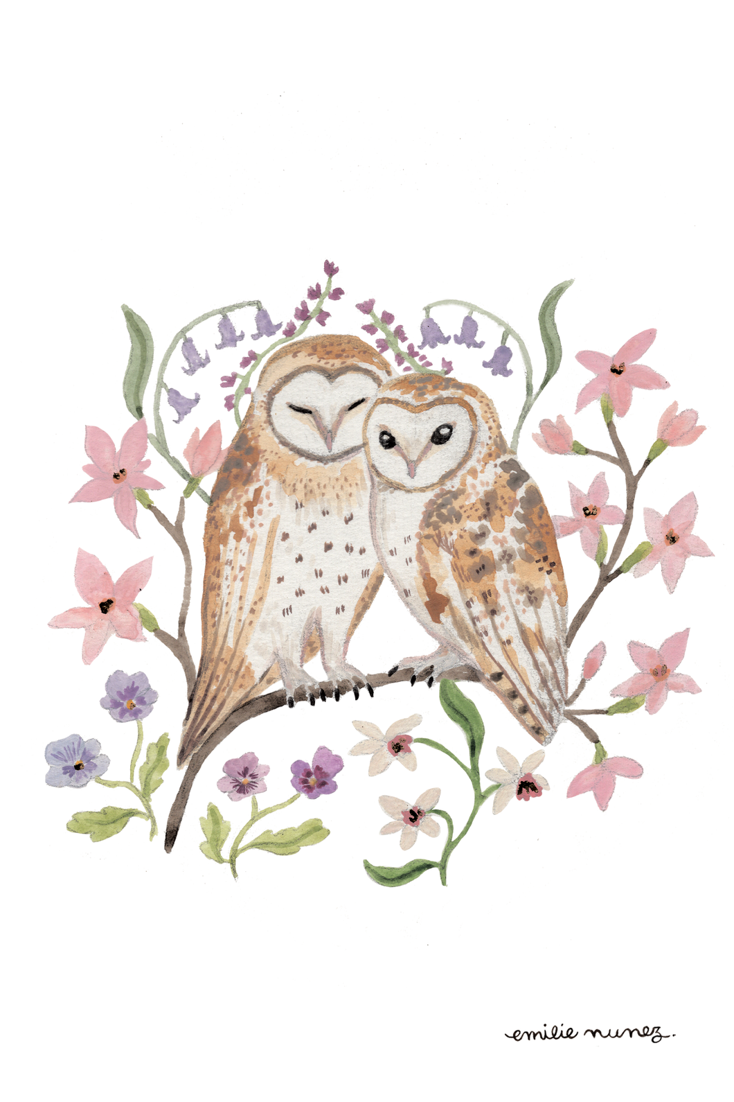 Barn Owl Postcard-Wholesale