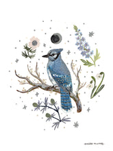 Load image into Gallery viewer, Blue Jay Art Print
