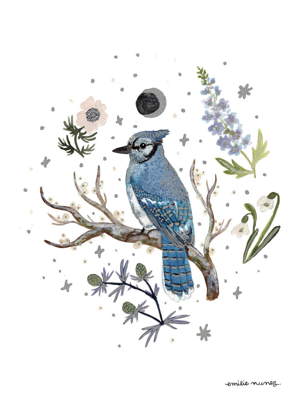 Blue Jay Art Print