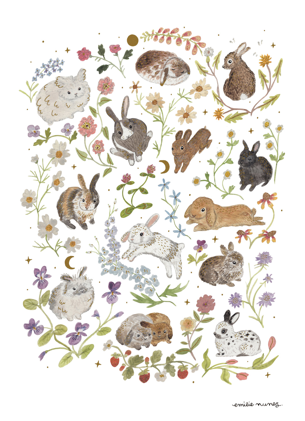 Rabbits Art Print