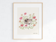 Load image into Gallery viewer, Cozy Cat &amp; Cosmos
