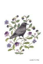 Load image into Gallery viewer, Crow Postcard-Wholesale

