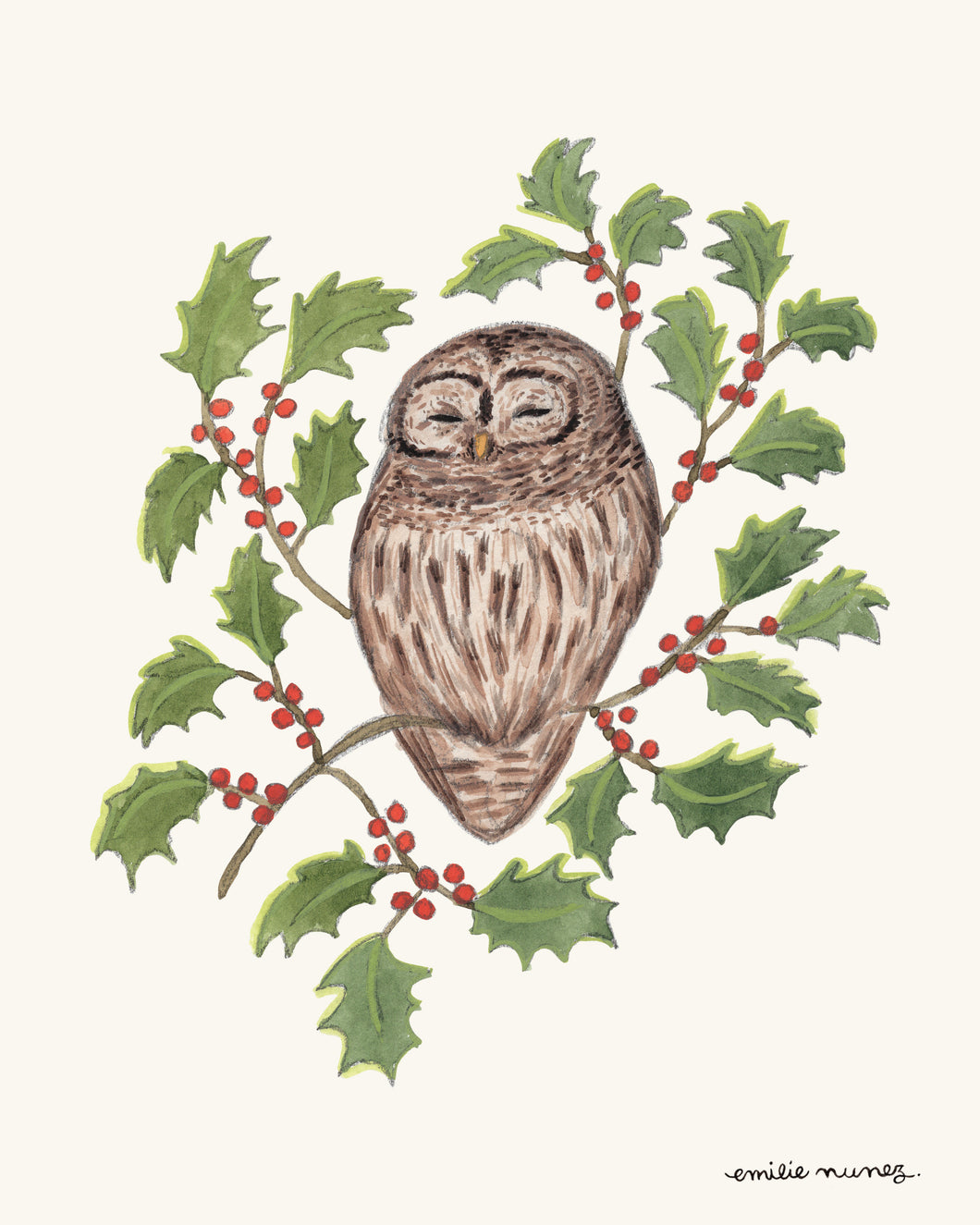 Barred Owl & Holly Art Print