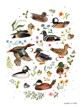 Load image into Gallery viewer, Ducks Art Print
