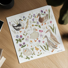 Load image into Gallery viewer, Ducks Art Print
