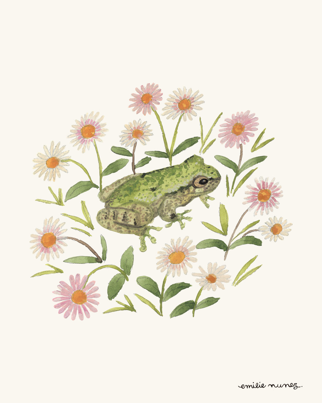 Bird-voiced Tree Frog & Daisies Art Print