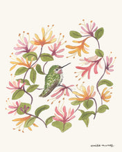 Load image into Gallery viewer, Anna&#39;s Hummingbird &amp; Honeysuckle Art Print
