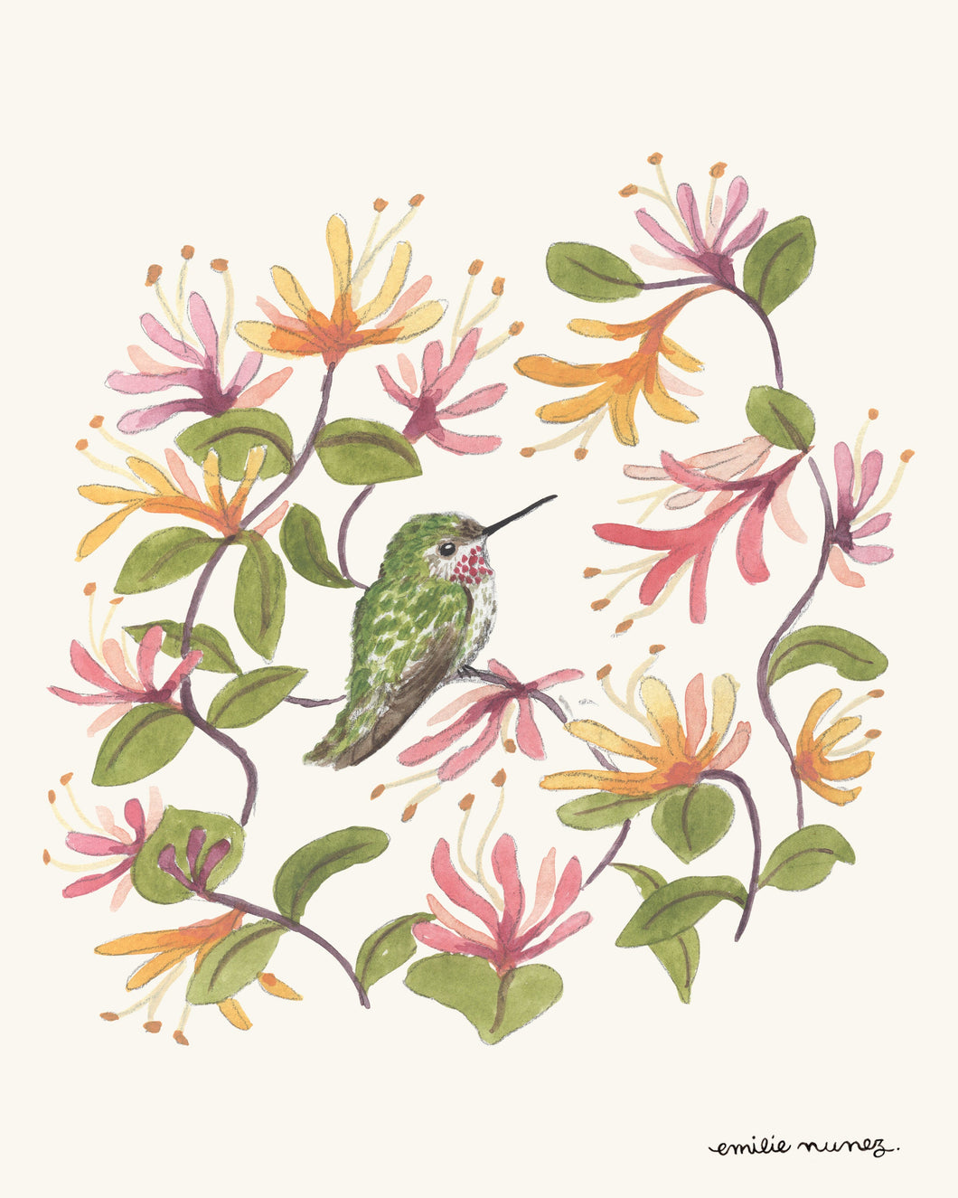 Anna's Hummingbird & Honeysuckle Art Print - Wholesale