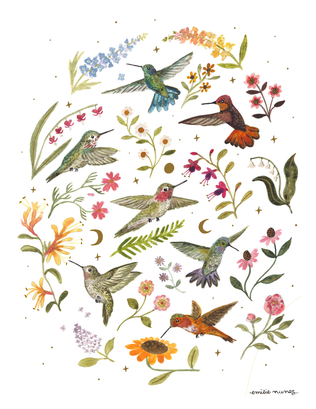 Hummingbird Garden Art Print