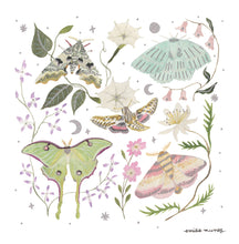 Load image into Gallery viewer, Moths Art Print
