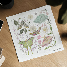 Load image into Gallery viewer, Moths Art Print
