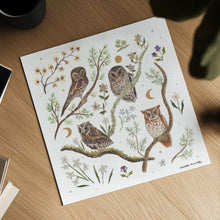 Load image into Gallery viewer, Owls Art Print
