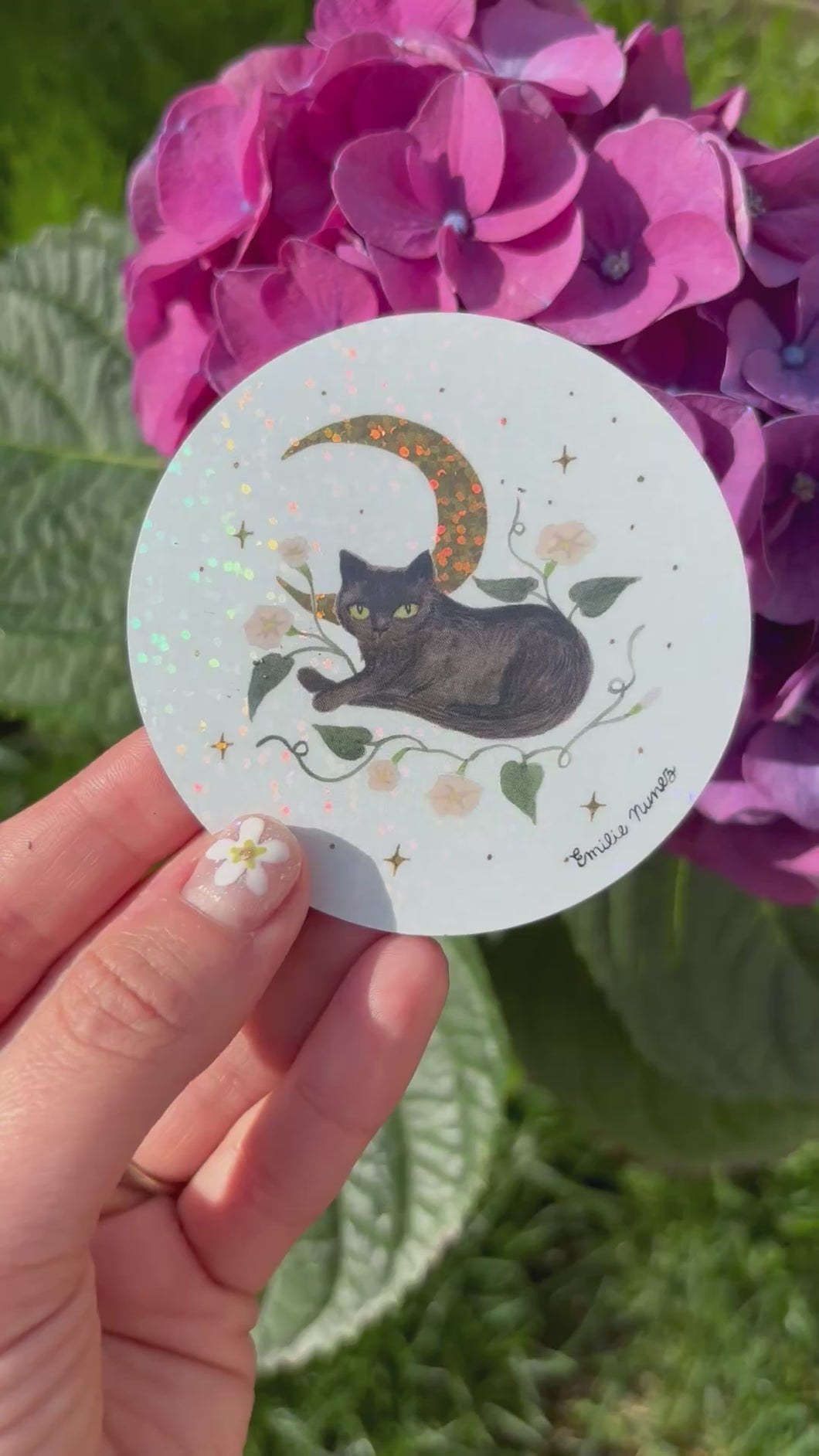 Black Cat
