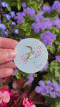 Load and play video in Gallery viewer, Oasis Hummingbird Sticker - Wholesale
