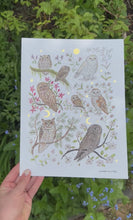 Load and play video in Gallery viewer, Owl Garden Art Print
