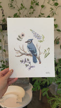 Load and play video in Gallery viewer, Blue Jay Art Print

