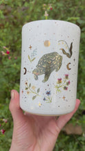 Load and play video in Gallery viewer, Diamondback Terrapin Turtle
