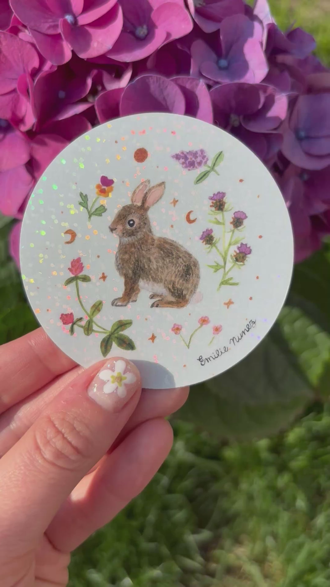 Cottontail Rabbit