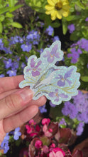 Load and play video in Gallery viewer, Violet Crowned Hummingbird Sticker
