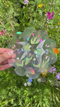 Load and play video in Gallery viewer, Violet Green Swallows Suncatcher
