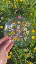 Load and play video in Gallery viewer, Sun Bear Suncatcher
