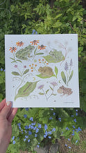 Load and play video in Gallery viewer, Gold Foil Art Print- Frogs- Wholesale
