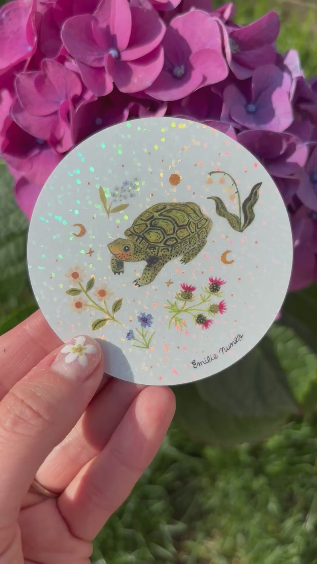 Turtle