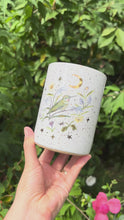 Load and play video in Gallery viewer, Anna's Hummingbird Vessel
