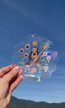 Load and play video in Gallery viewer, Sun Bear Suncatcher
