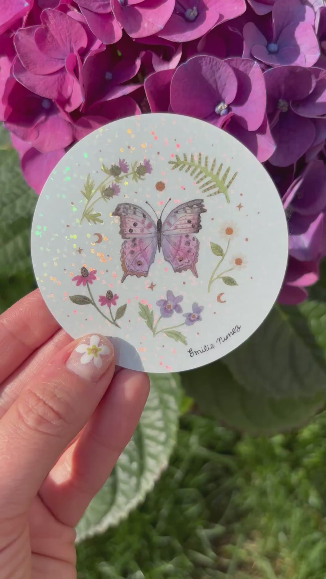 Mother of Pearl Butterfly