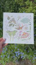 Load and play video in Gallery viewer, Moths Art Print
