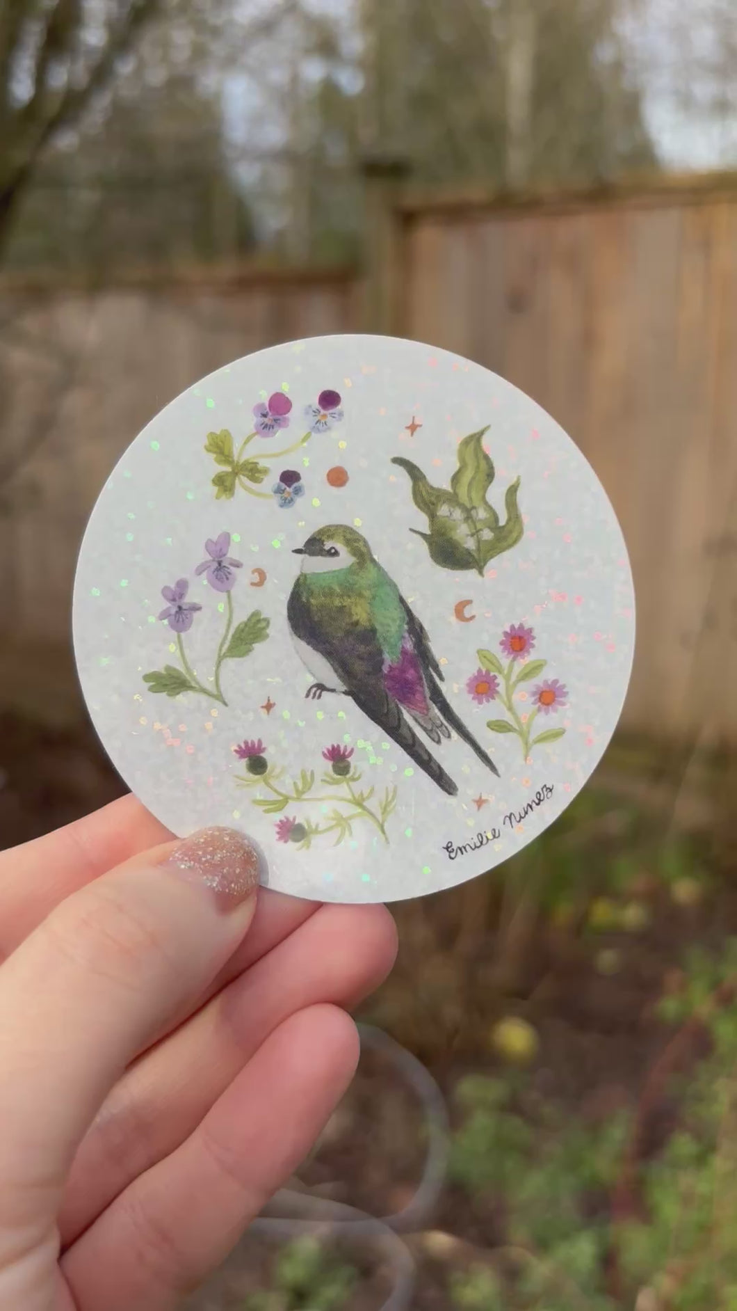 Violet Green Swallow