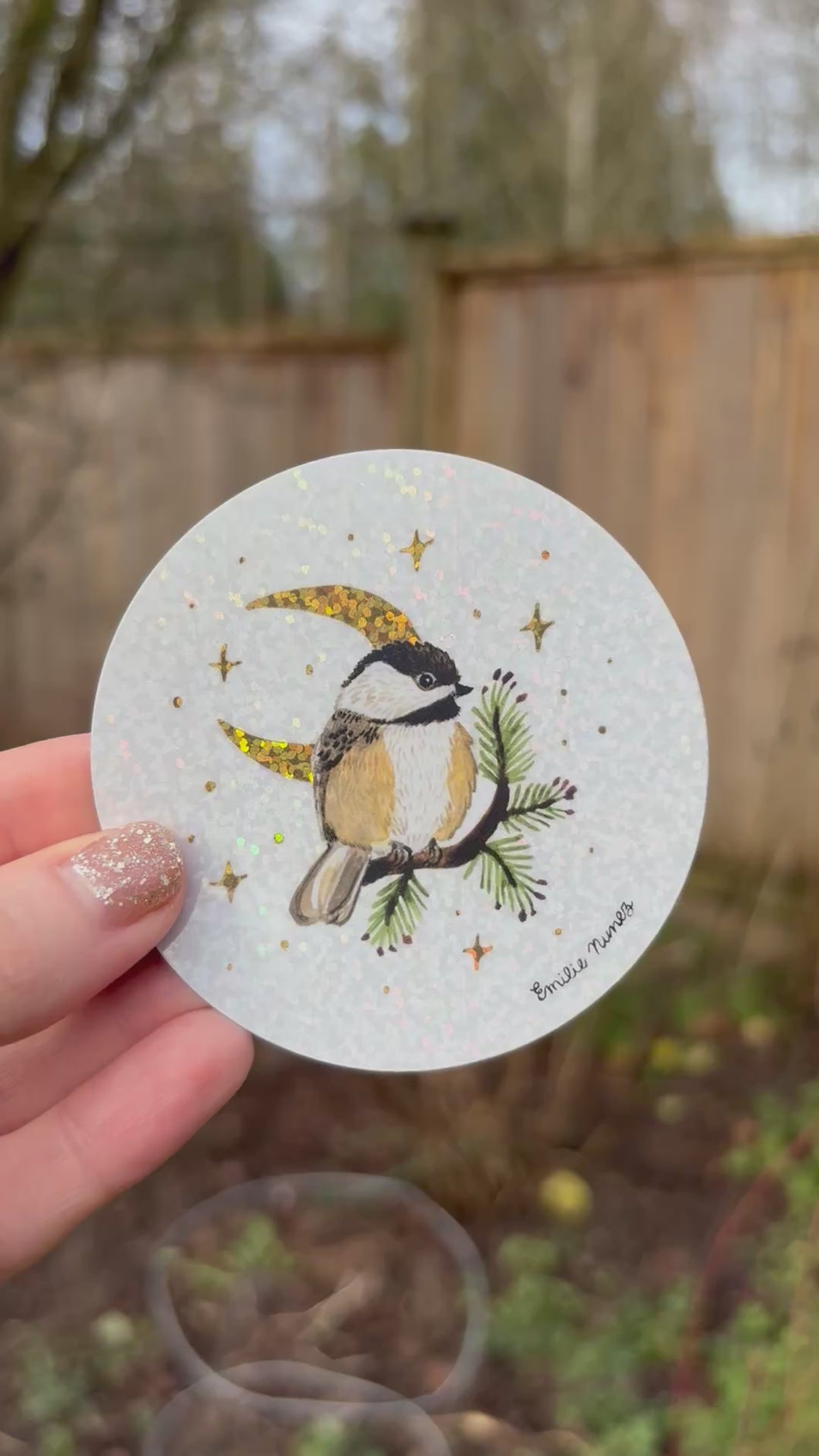 Black Capped Chickadee