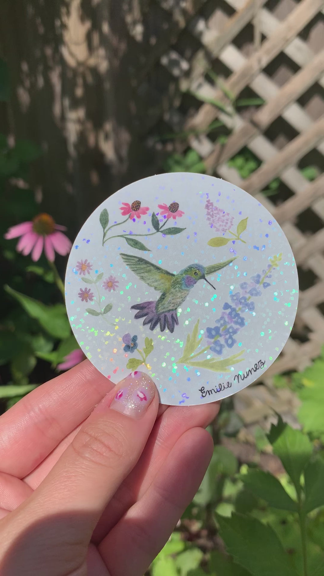 17 Blue-chested Hummingbird Sticker