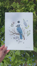 Load and play video in Gallery viewer, Silver Foil Art Print- Blue Jay- Wholesale
