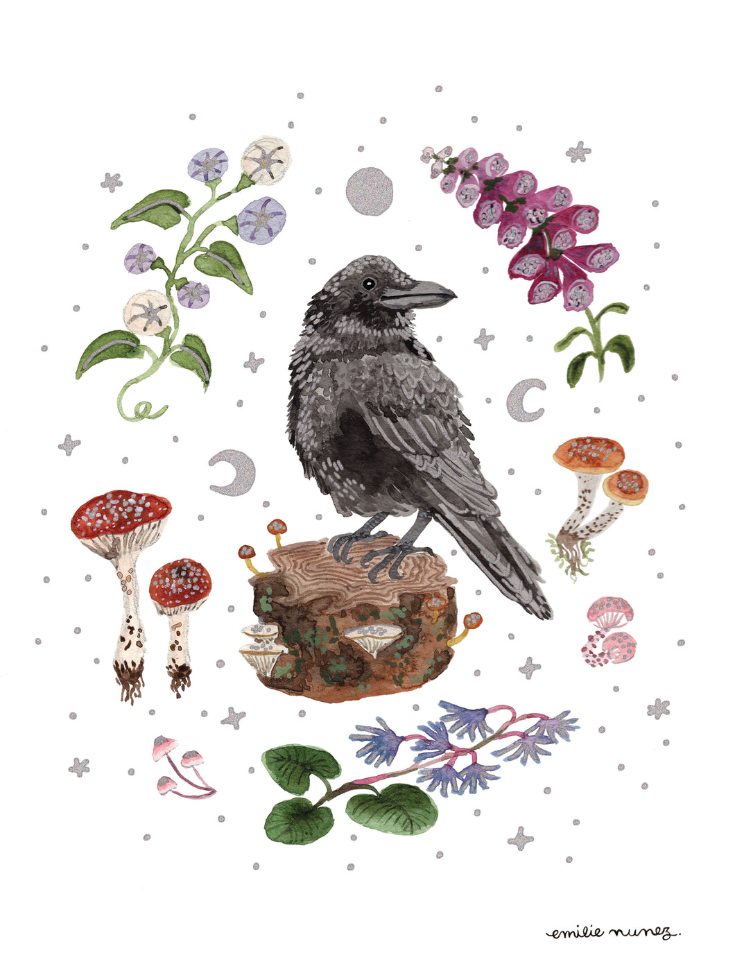 Raven Art Print