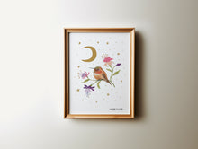 Load image into Gallery viewer, Rufous Hummingbird Art Print

