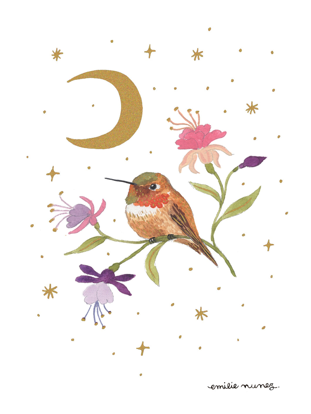 Rufous Hummingbird Art Print - Wholesale