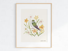 Load image into Gallery viewer, Violet-green Swallow &amp; Daffodils Art Print
