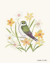 Load image into Gallery viewer, Violet-green Swallow &amp; Daffodils Art Print

