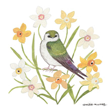 Load image into Gallery viewer, Violet-Green Swallow Postcard
