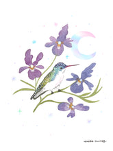 Load image into Gallery viewer, Violet Crowned Hummingbird Art Print with Iridescent Foil
