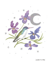 Load image into Gallery viewer, Violet Crowned Hummingbird Art Print - Wholesale
