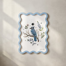 Load image into Gallery viewer, Blue Jay Art Print

