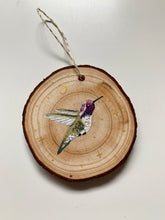 Load image into Gallery viewer, 36 Costas Hummingbird
